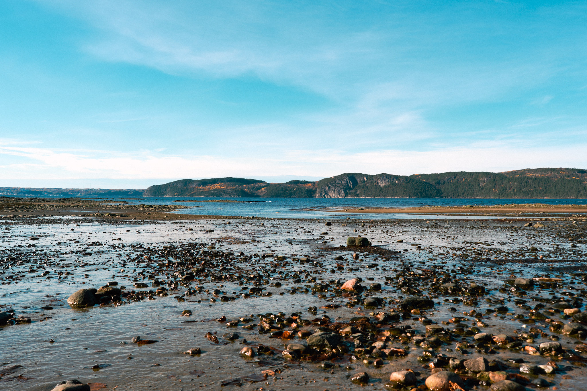 Visite culturelle à La Baie